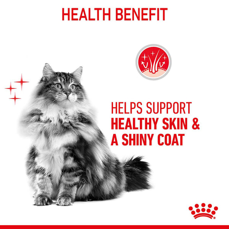 Royal Canin FCN Hair & Skin Care