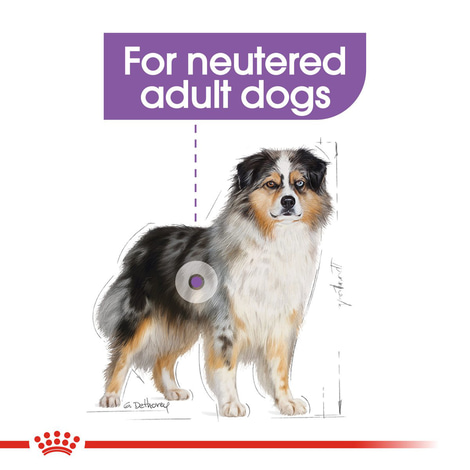 ROYAL CANIN STERILISED MEDIUM Trockenfutter für kastrierte mittelgroße Hunde