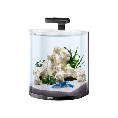 Tetra AquaArt Explorer Line Halfmoon Komplett-Set 30l