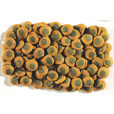 Tetra Pleco Multi Wafers Fischfutter 250ml