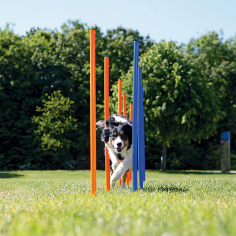 Trixie Dog Activity Agility Slalom Stangen