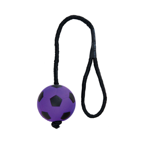 Trixie Neonball am Seil aus Moosgummi 6cm/30cm