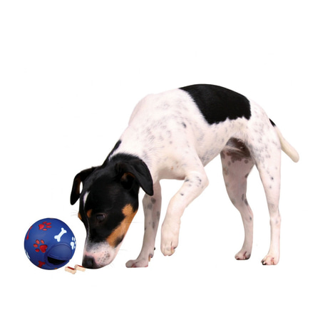 Trixie Snacky Ball Hundespielzeug aus Kunststoff