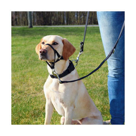 Trixie Top Trainer Ausbildungs-Geschirr