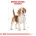 ROYAL CANIN Beagle Adult Hundefutter trocken
