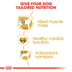 ROYAL CANIN Boxer Adult Hundefutter trocken