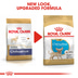 ROYAL CANIN Chihuahua Puppy Welpenfutter trocken