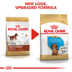 ROYAL CANIN Dachshund Puppy Welpenfutter trocken für Dackel 1,5kg