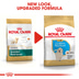 ROYAL CANIN Golden Retriever Puppy Welpenfutter trocken