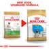 ROYAL CANIN Pug Puppy Welpenfutter trocken für Mops
