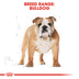 ROYAL CANIN Bulldog Adult Hundefutter trocken