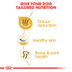 ROYAL CANIN Bulldog Adult Hundefutter trocken
