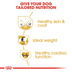 ROYAL CANIN Cocker Adult Hundefutter trocken