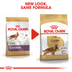 ROYAL CANIN Cocker Adult Hundefutter trocken