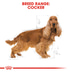 ROYAL CANIN Cocker Adult Hundefutter trocken