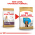 ROYAL CANIN Cocker Puppy Welpenfutter trocken