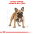 ROYAL CANIN French Bulldog Adult Hundefutter trocken für Französische Bulldoggen