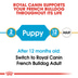 ROYAL CANIN French Bulldog Puppy Welpenfutter trocken für Französische Bulldoggen