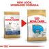 ROYAL CANIN French Bulldog Puppy Welpenfutter trocken für Französische Bulldoggen