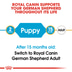 ROYAL CANIN German Shepherd Puppy Welpenfutter trocken für Deutsche Schäferhunde