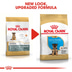 ROYAL CANIN German Shepherd Puppy Welpenfutter trocken für Deutsche Schäferhunde