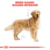 ROYAL CANIN Golden Retriever Adult Hundefutter trocken