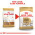 ROYAL CANIN Labrador Retriever Adult Hundefutter trocken