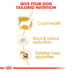 ROYAL CANIN Maltese Adult Hundefutter trocken