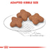 ROYAL CANIN MINI Adult 8+ Trockenfutter für ältere kleine Hunde