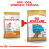 ROYAL CANIN Poodle Puppy Welpenfutter trocken für Pudel
