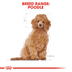 ROYAL CANIN Poodle Puppy Welpenfutter trocken für Pudel