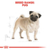 ROYAL CANIN Pug Adult Hundefutter trocken für Mops