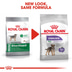 ROYAL CANIN STERILISED MINI Trockenfutter für kastrierte kleine Hunde