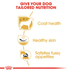 ROYAL CANIN West Highland White Terrier Adult Hundefutter trocken