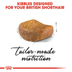 ROYAL CANIN British Shorthair Katzenfutter trocken für Britisch Kurzhaar