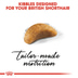 ROYAL CANIN British Shorthair Kittenfutter trocken für Kätzchen