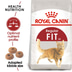 ROYAL CANIN FIT Trockenfutter für aktive Katzen