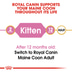 ROYAL CANIN Maine Coon Trockenfutter für Kätzchen
