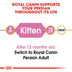 Royal Canin Katzenfutter Kitten Persian