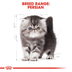 Royal Canin Katzenfutter Kitten Persian
