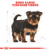 ROYAL CANIN Yorkshire Terrier Welpenfutter trocken