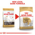ROYAL CANIN Jack Russell Terrier Adult Hundefutter trocken