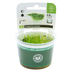 Dennerle Plants Taxiphyllum barbieri In-Vitro