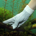 JBL Aquarien-Pflegehandschuh