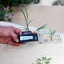 JBL TerraSand Terrarien-Sand - 7,5 kg - weiss