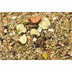 JR Farm Rennmausfutter Adult 500g