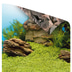 Juwel Rückwand Poster für Aquarium