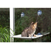 Karlie Katzen Hängematte für Fenster