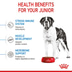 ROYAL CANIN GIANT Junior Welpenfutter trocken für sehr große Hunde