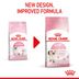 ROYAL CANIN KITTEN Trockenfutter für Kätzchen